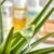 Aloes – przyjaciel czy wróg? Obalamy mity o nawilżaniu skóry i włosów